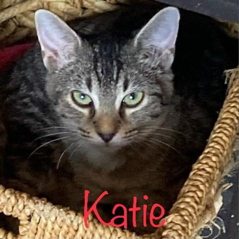 Katie-Mary T