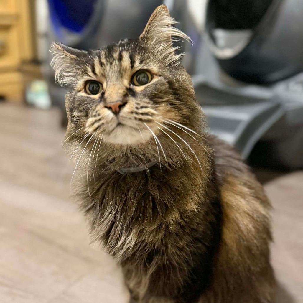 Reginald “Reggie”