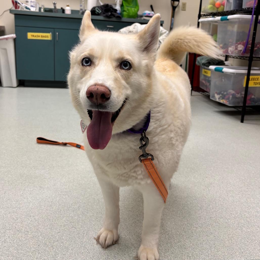 Luna-In Foster-50% OFF!-See my Video!