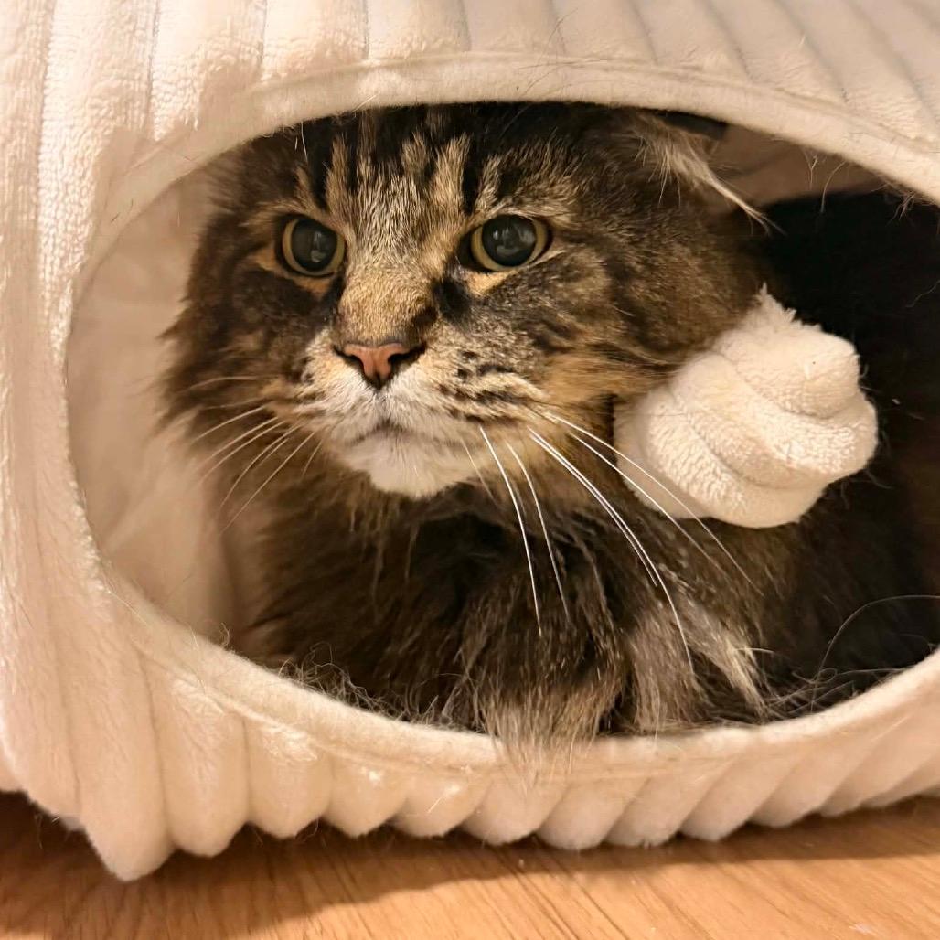 Reginald “Reggie”