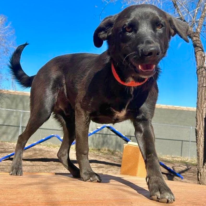 Bruce Wayne/Jaa'abani