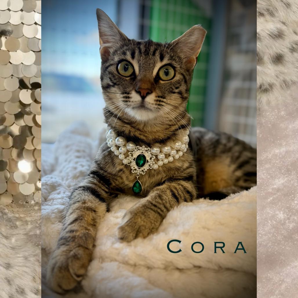 Cora