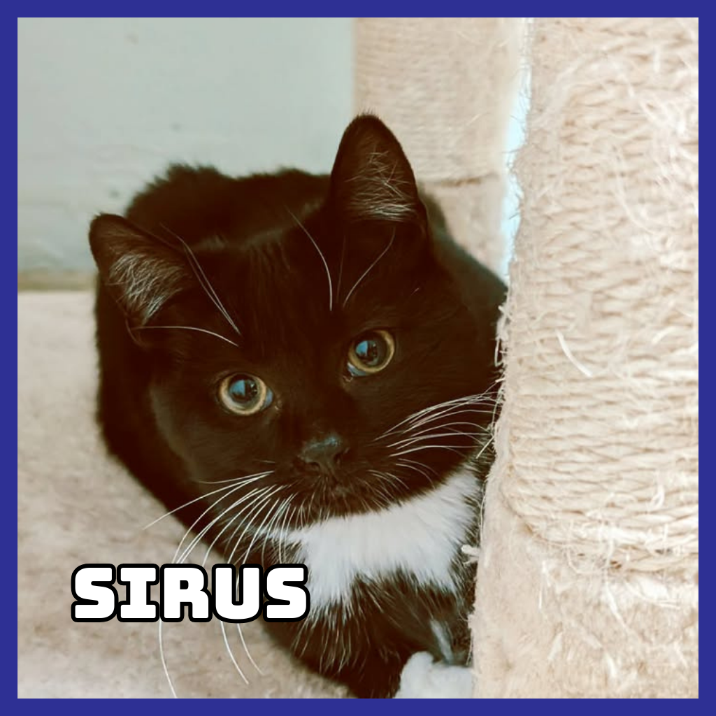Sirius