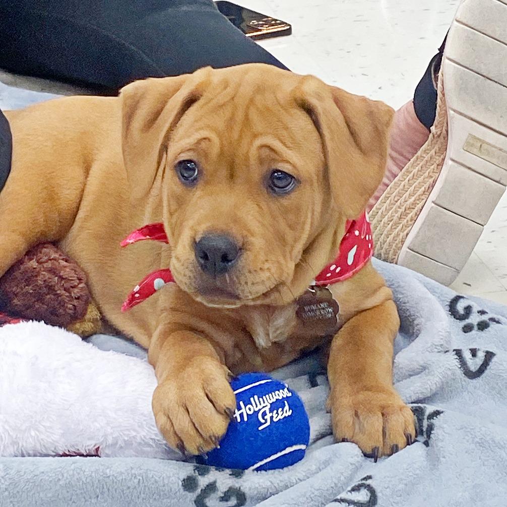 Marcia Marcia Marcia