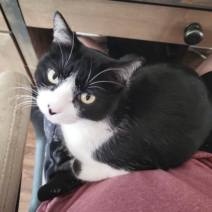 Kiki