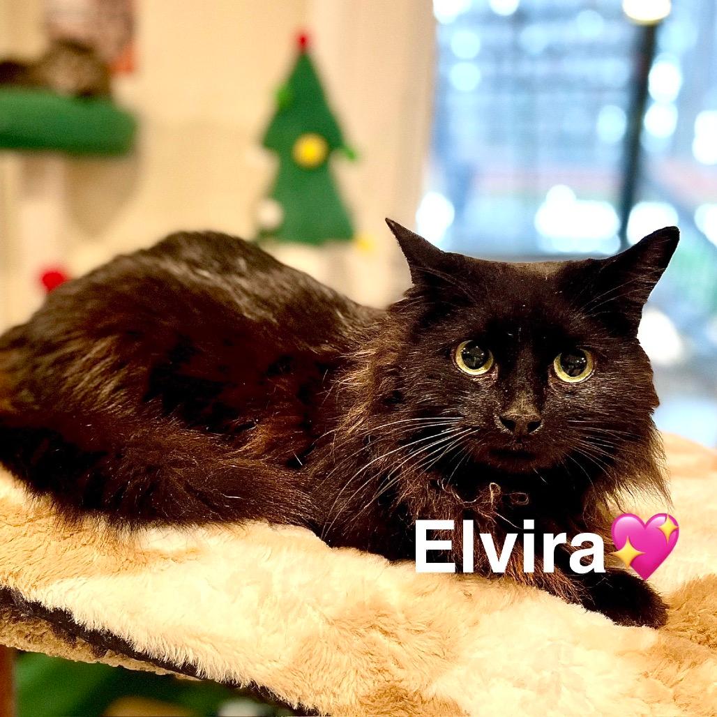 Elvira