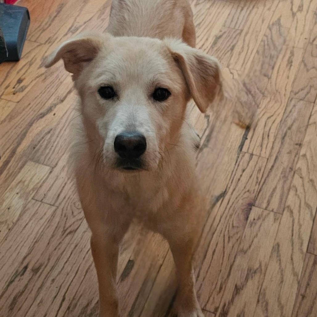Opie