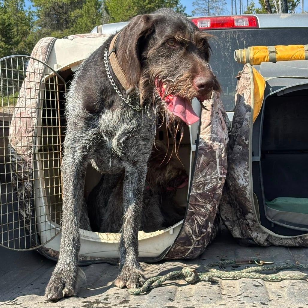 Duke (Ontario, Oregon)