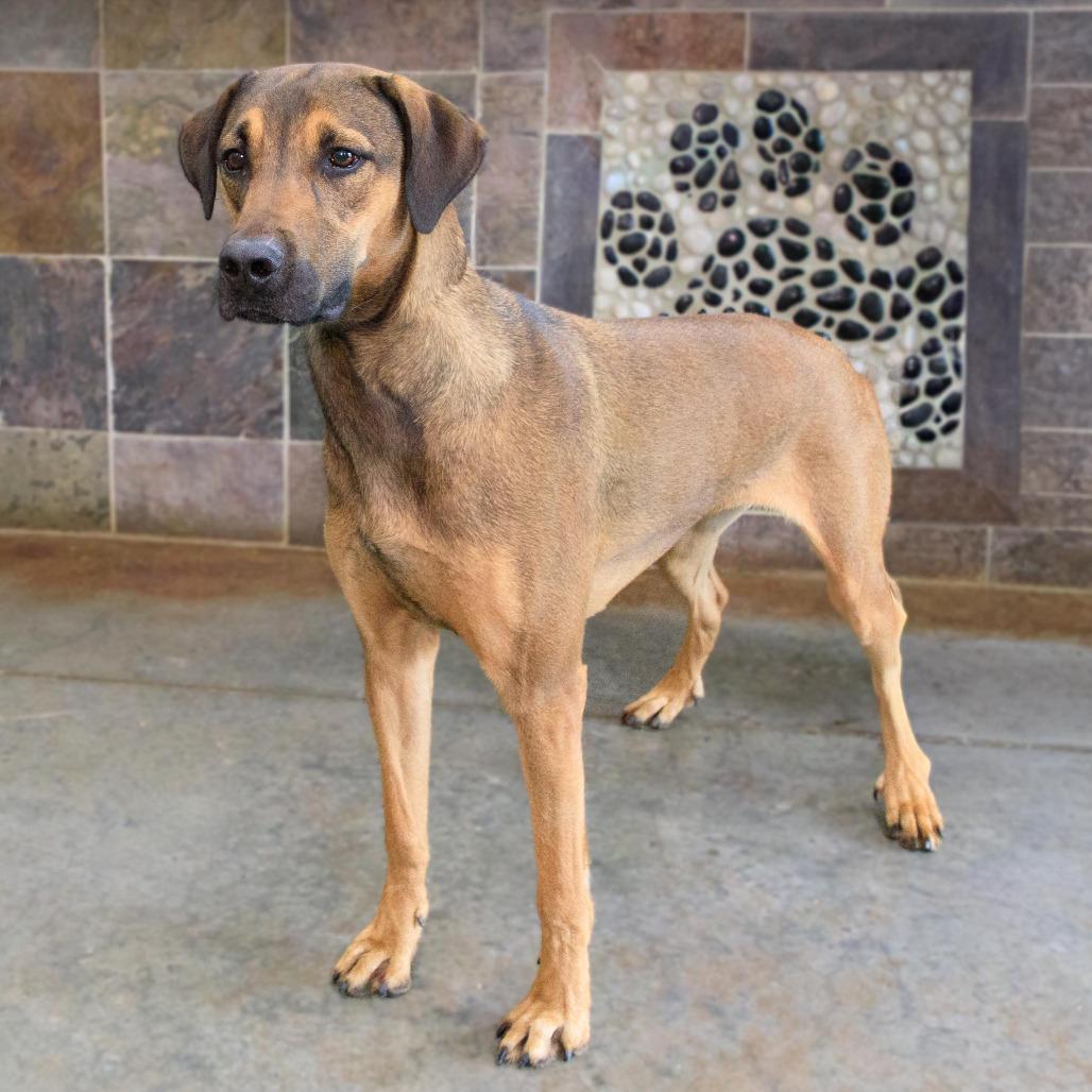 Appt. Pending - Lilo