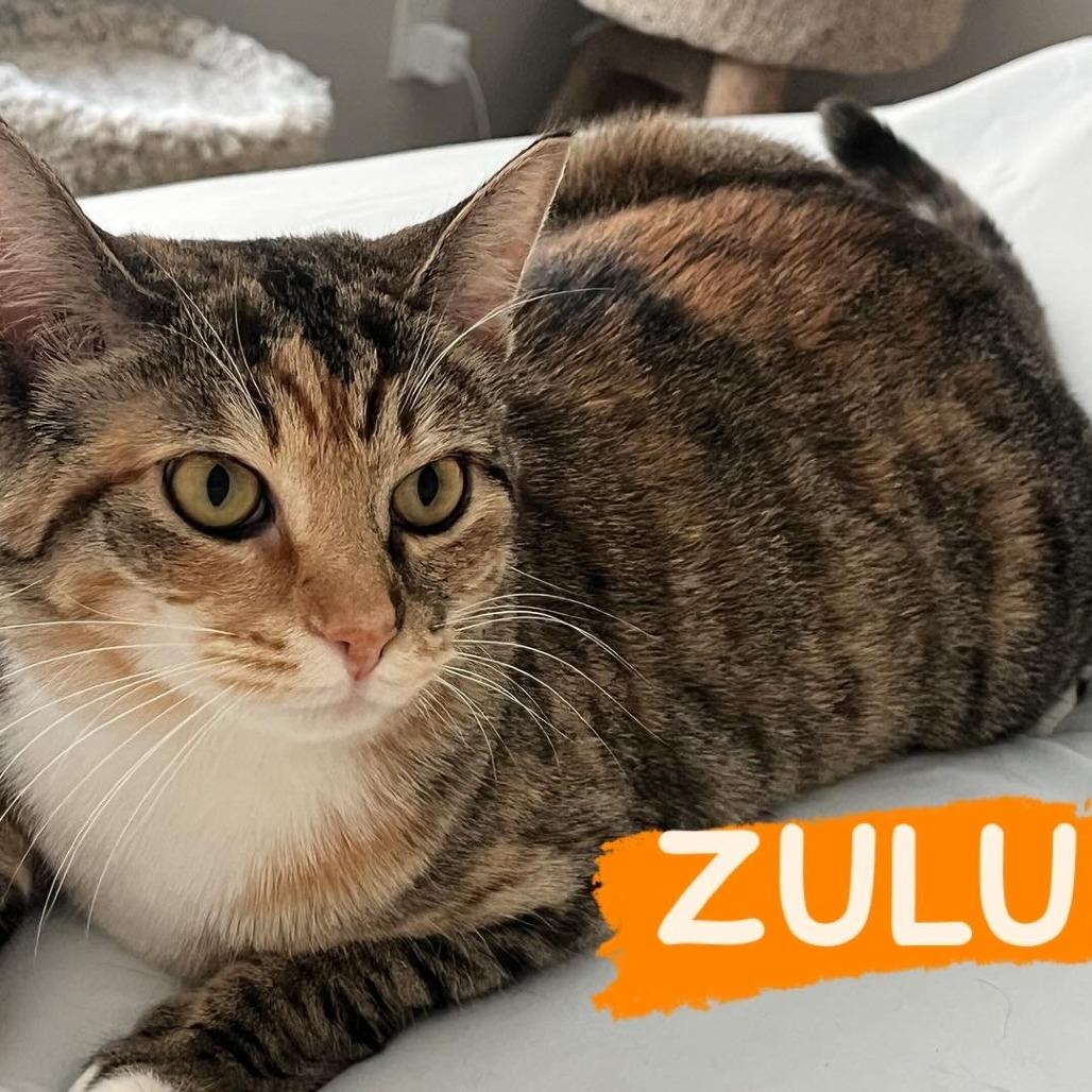 Zulu