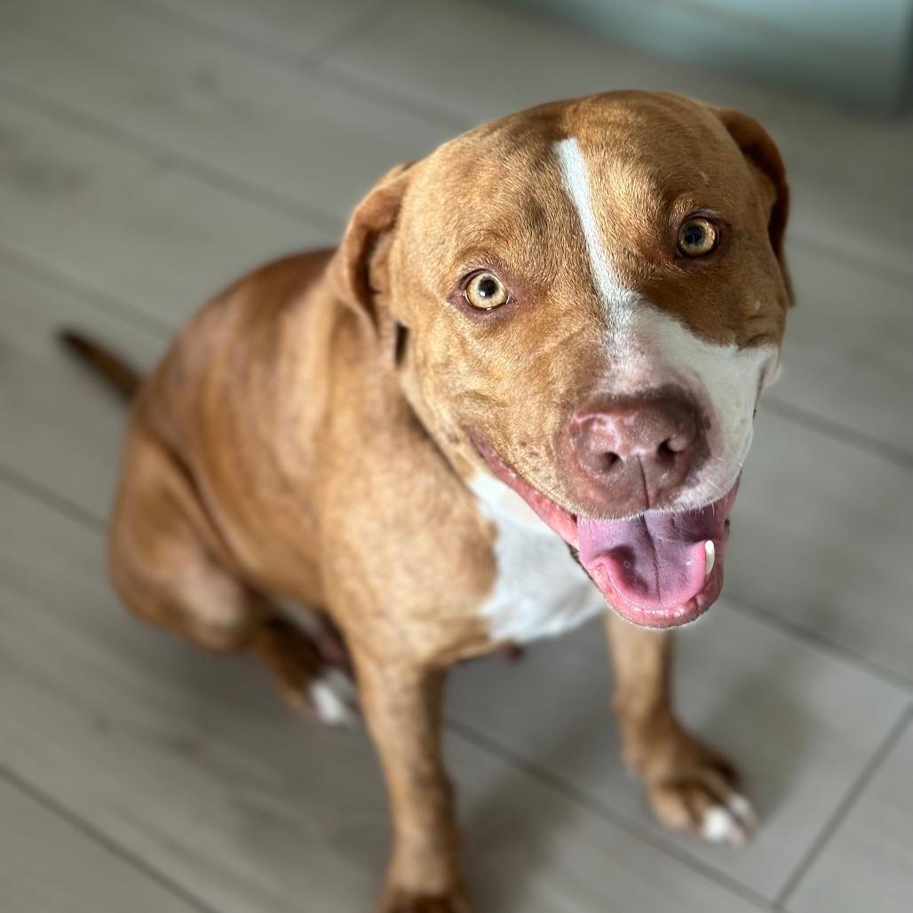 Penny