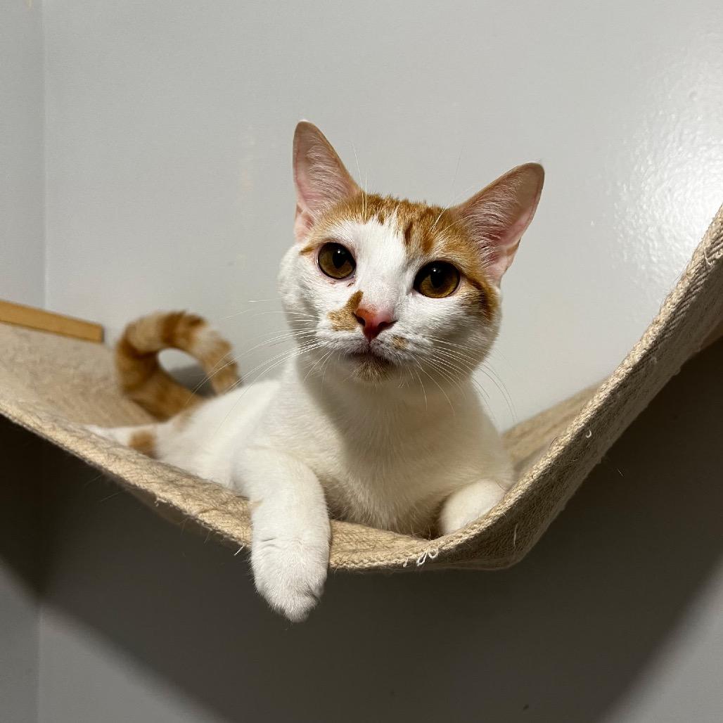 WINTER (bonded w/Noel)