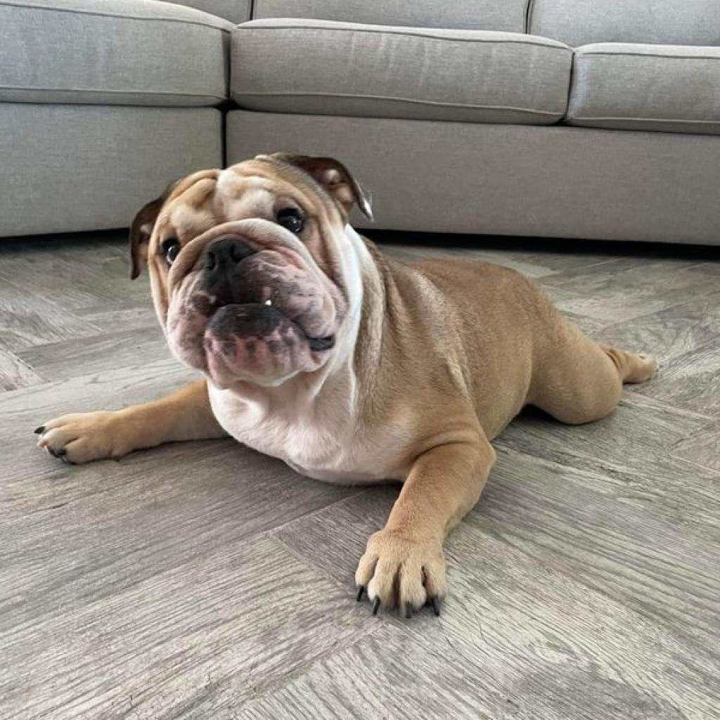 Chunk