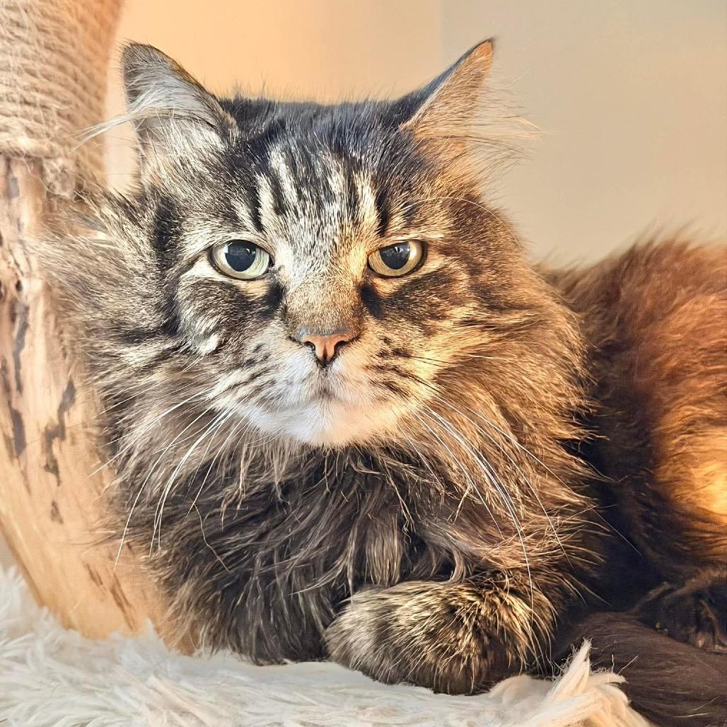 Reginald “Reggie”