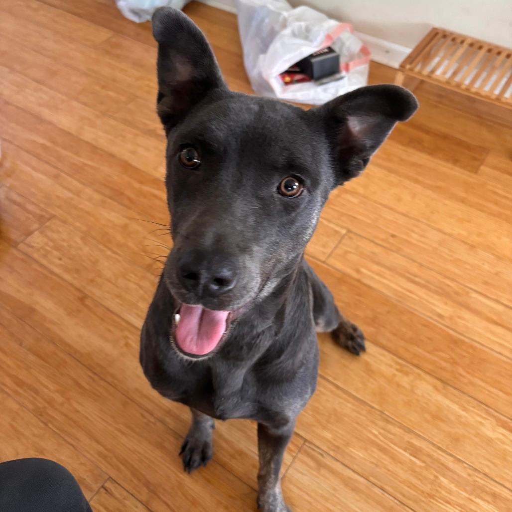 Milly Noon *Coming Soon*