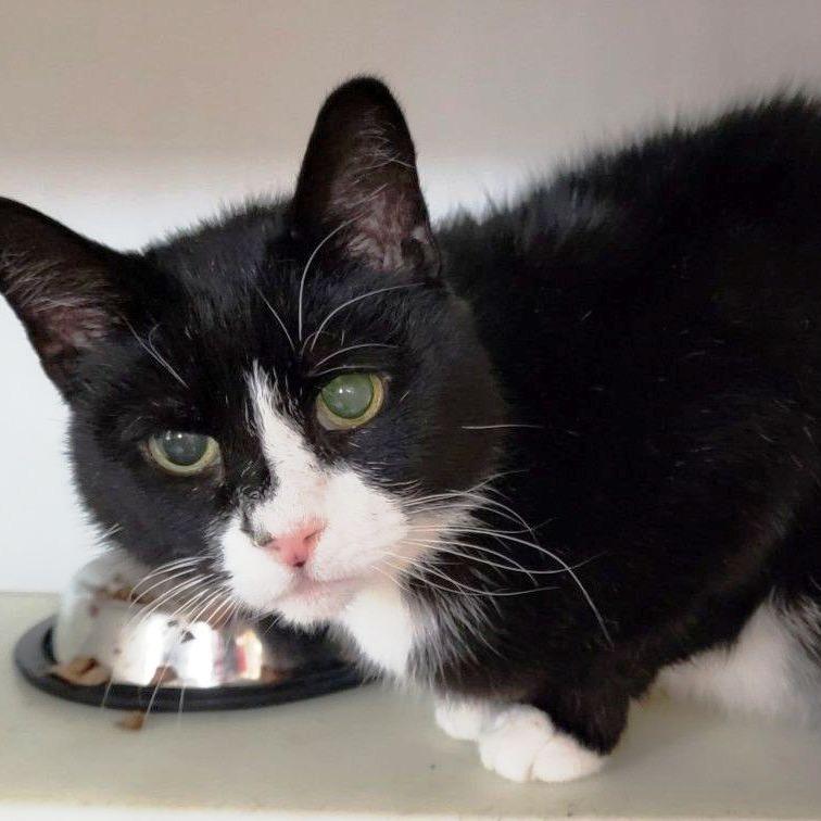 30 Toe Tippy Haverly