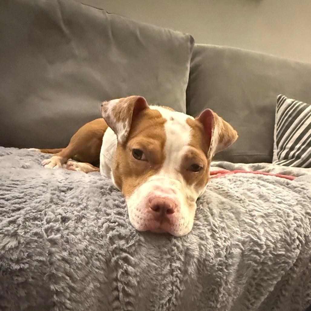 Fern Gully *Coming Soon*