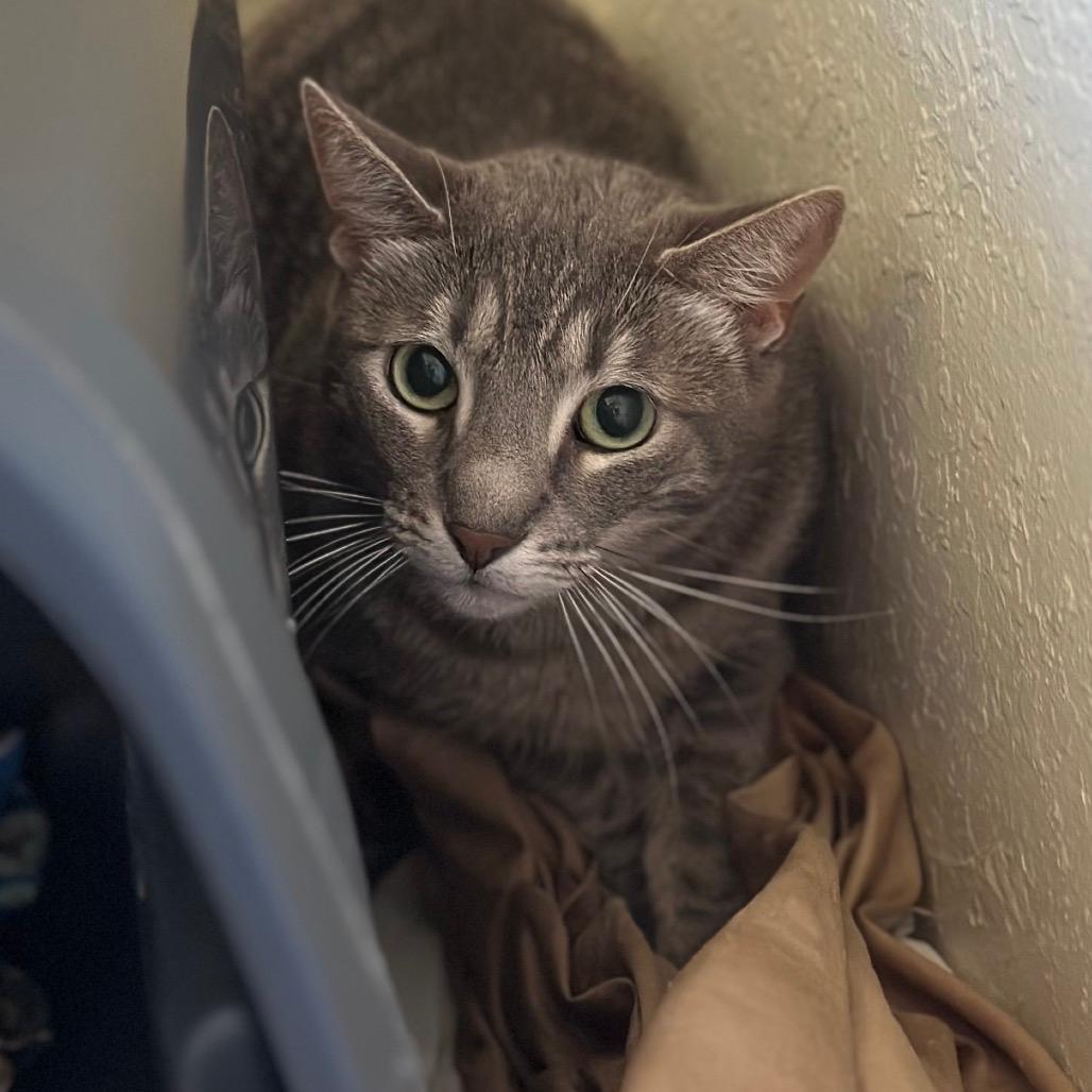 Sweet Pea (Ella Mae)