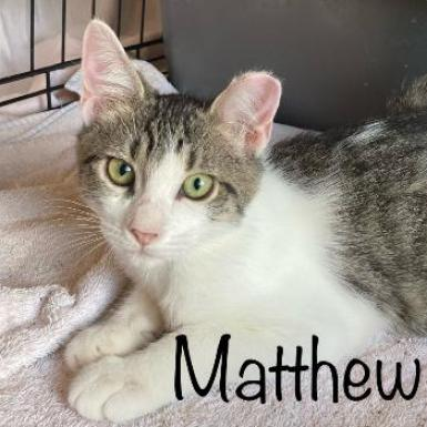 Matthew