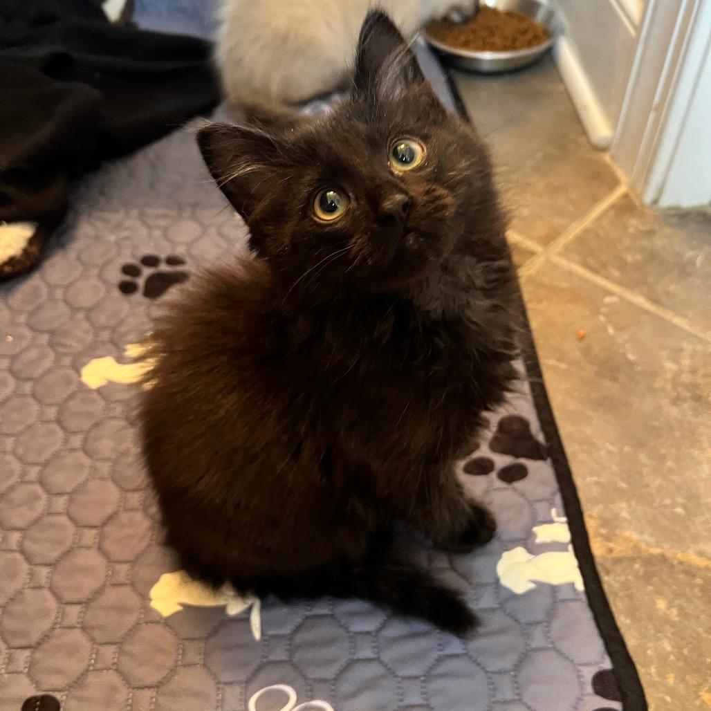 Delivered ✔️  (Eli)