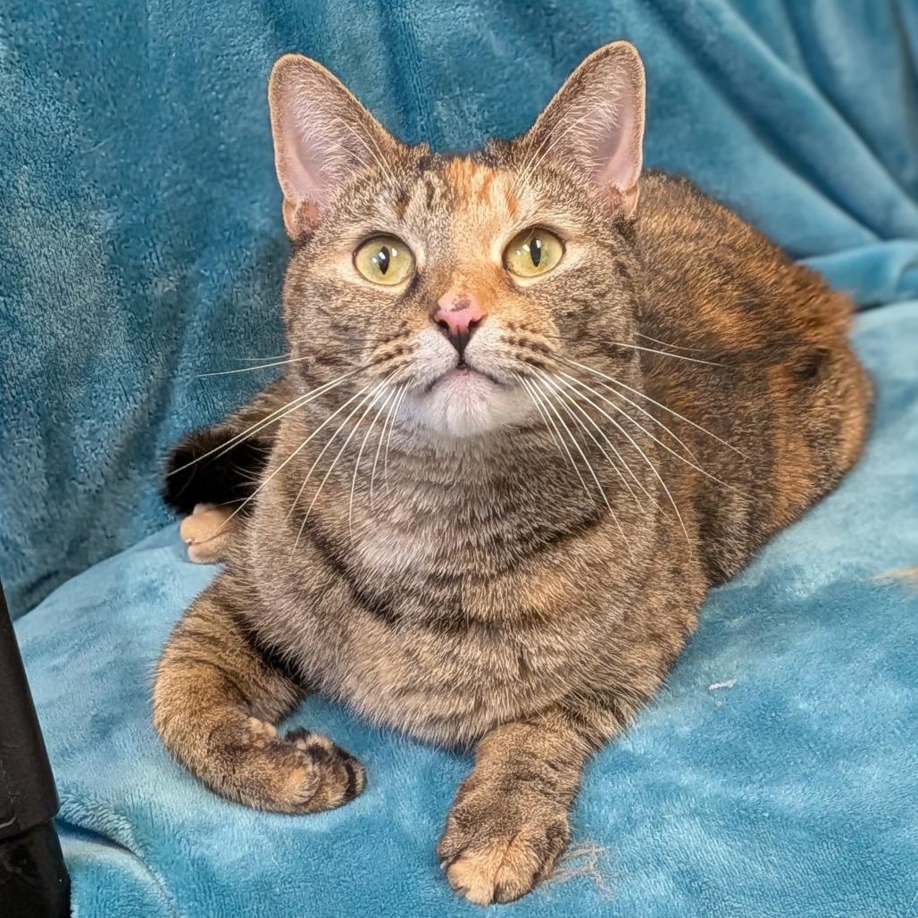 Tuna-$99 - See my video!