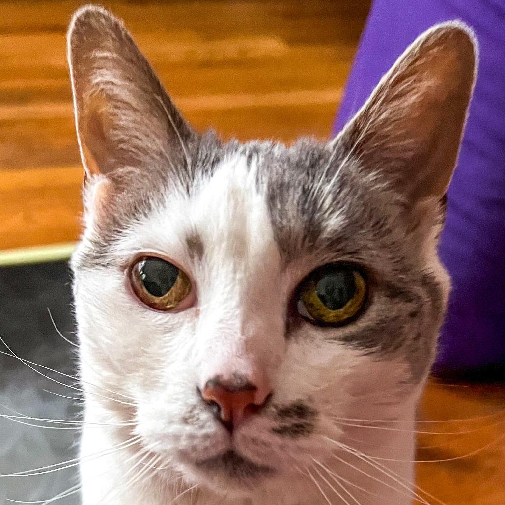 Ariel *Avail by Appt*