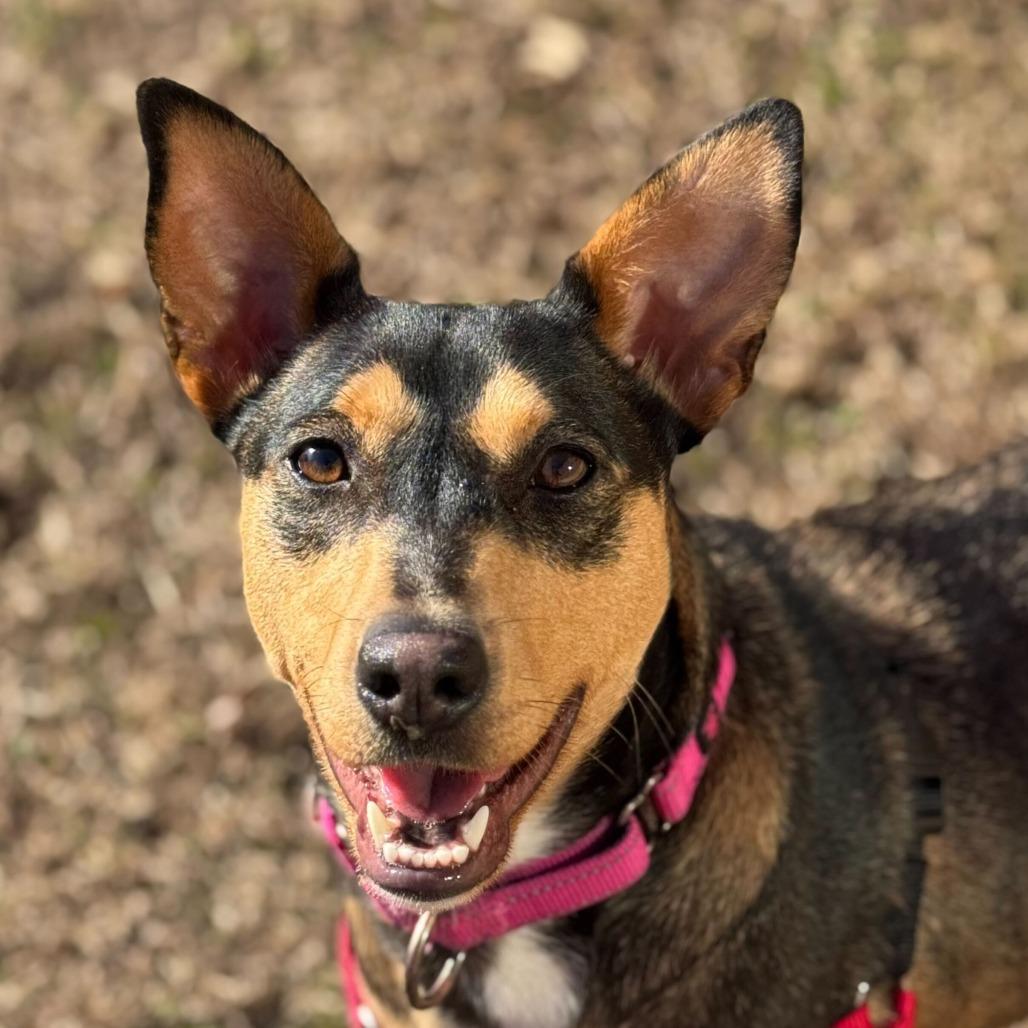 Magdalena $99 - See my Video!