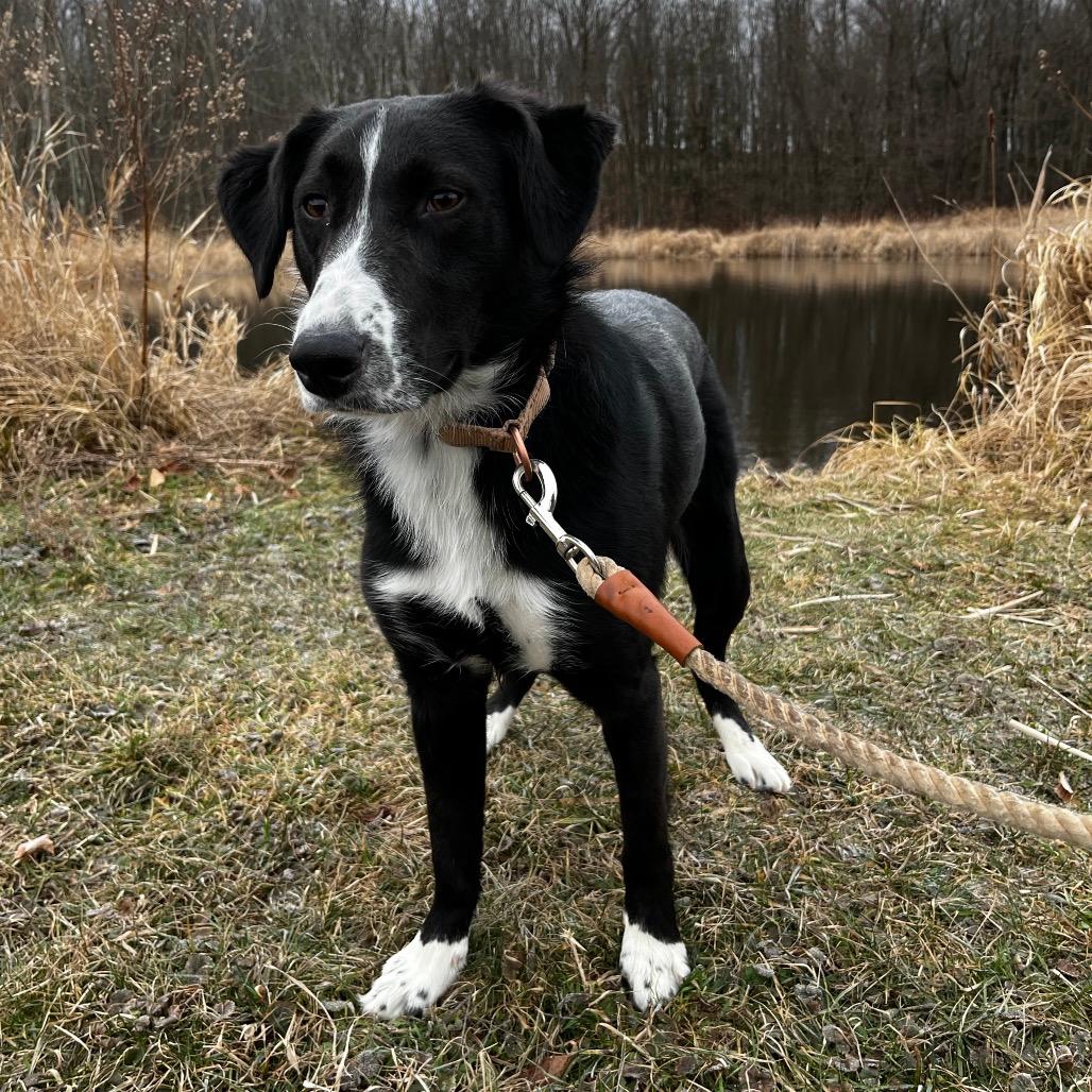 Poseidon (In Foster)