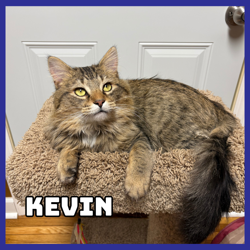 Kevin 