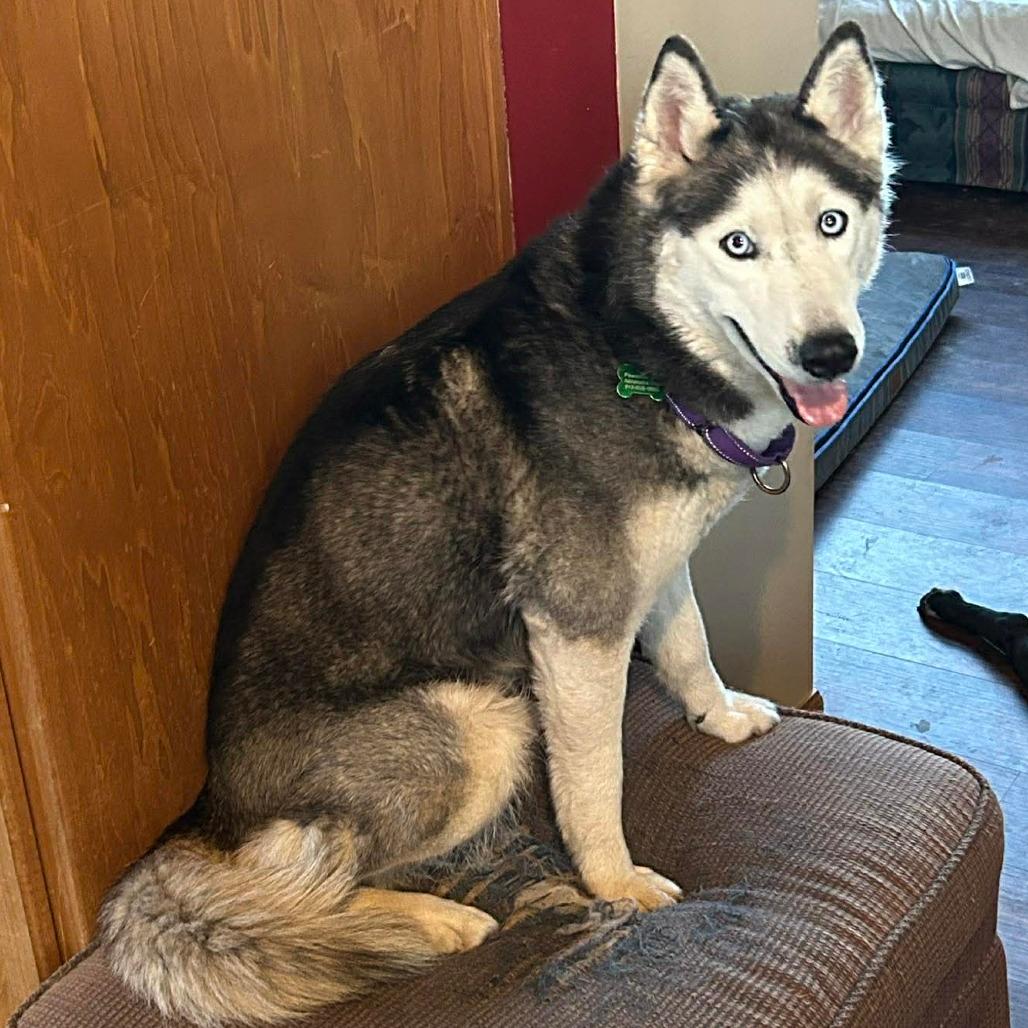 Skye