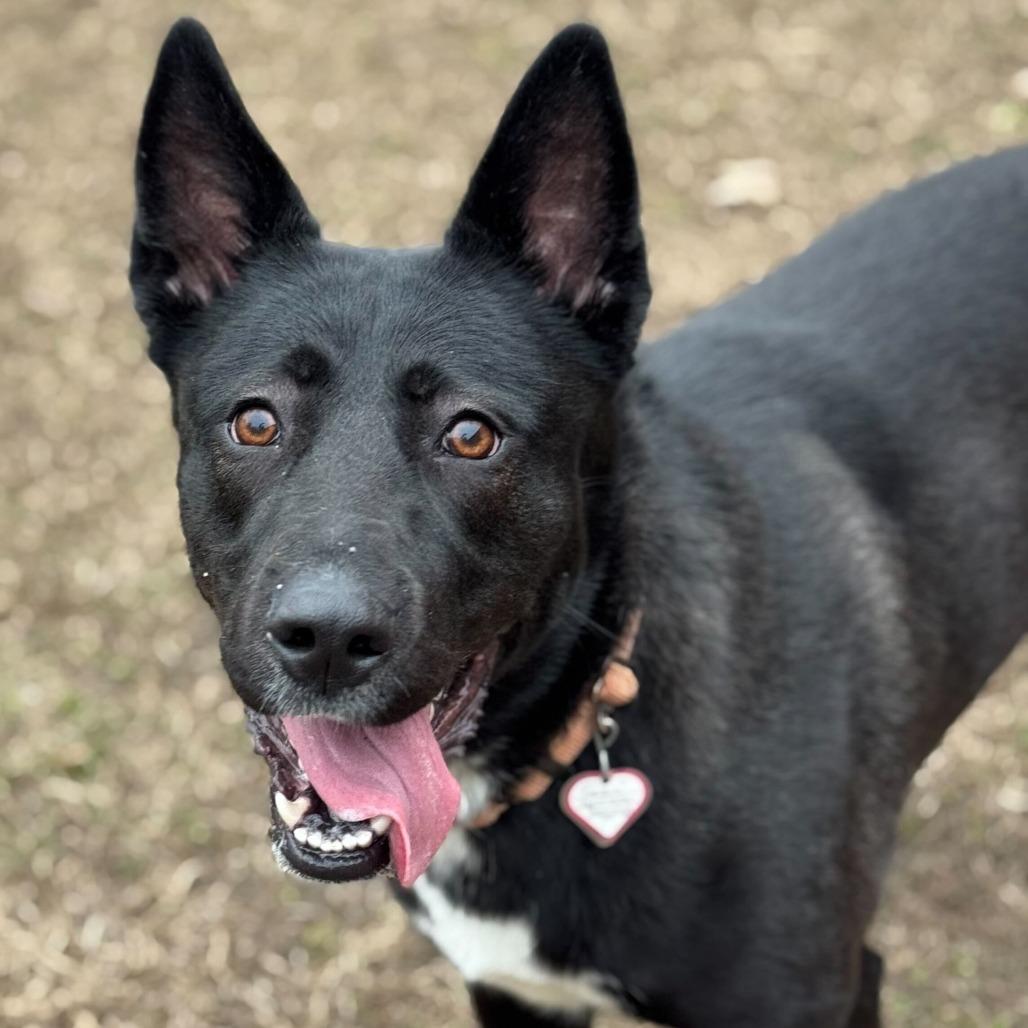 Missy-In Foster 50% off