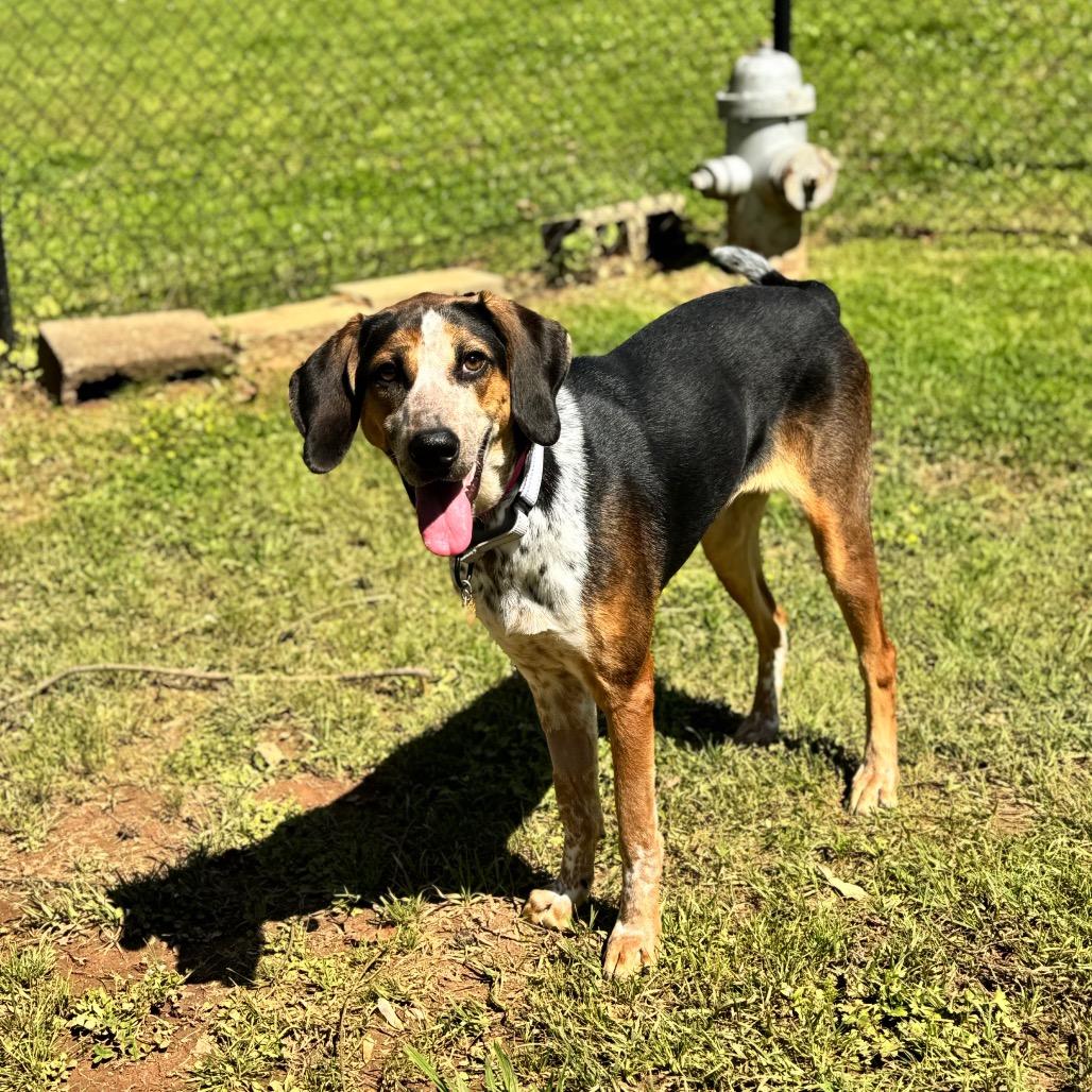Gertrude 