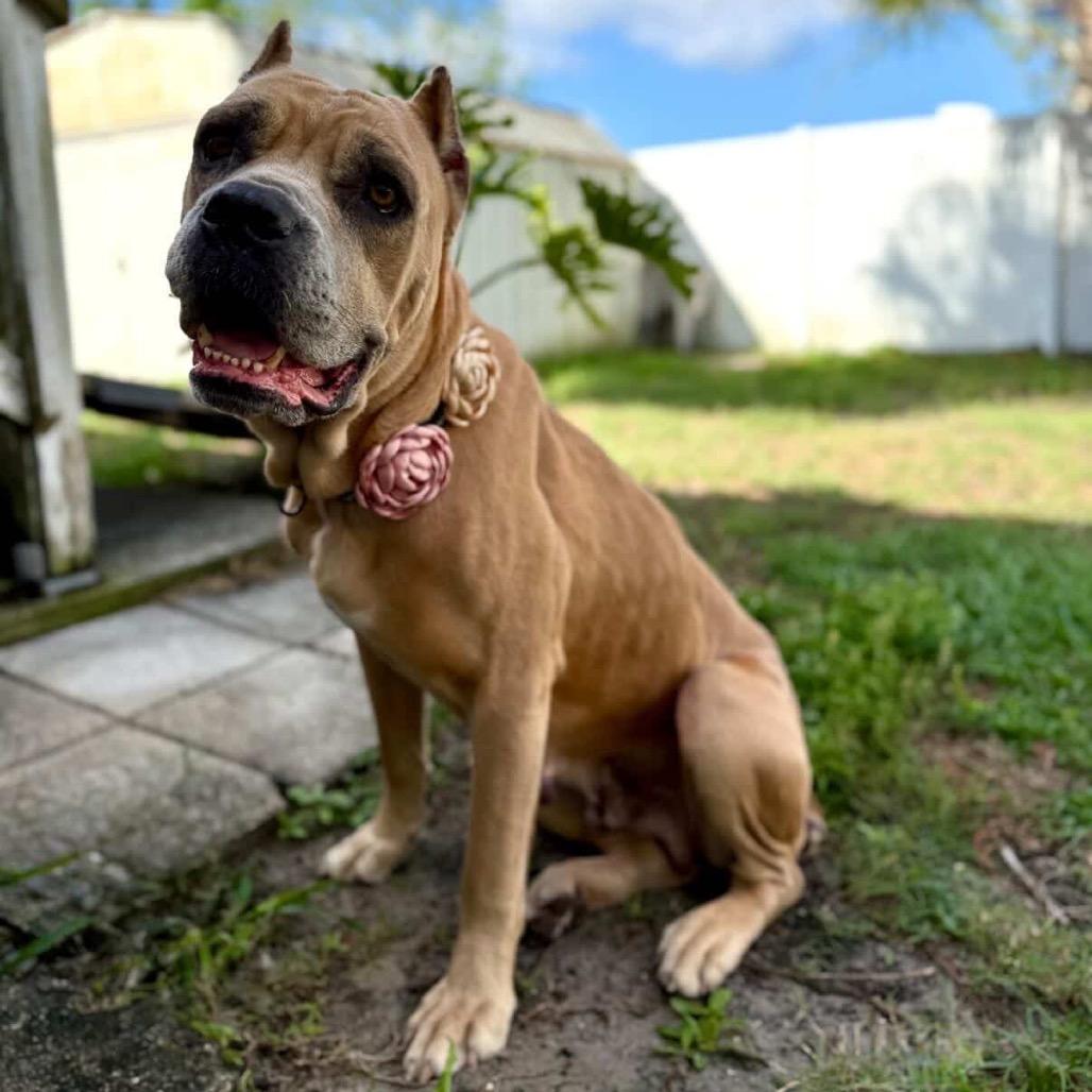 Anastasia Beverly Hills