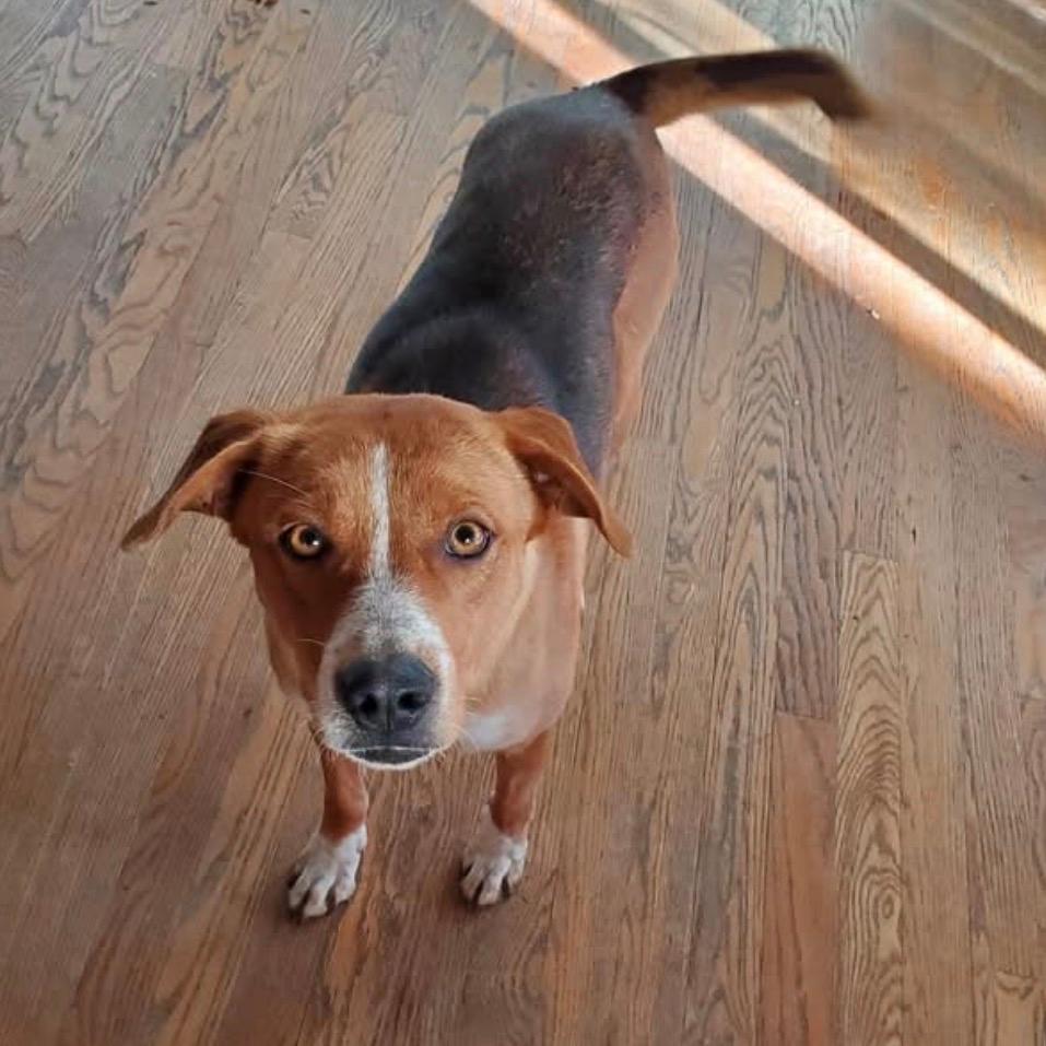 301 (2026) Mama Selina