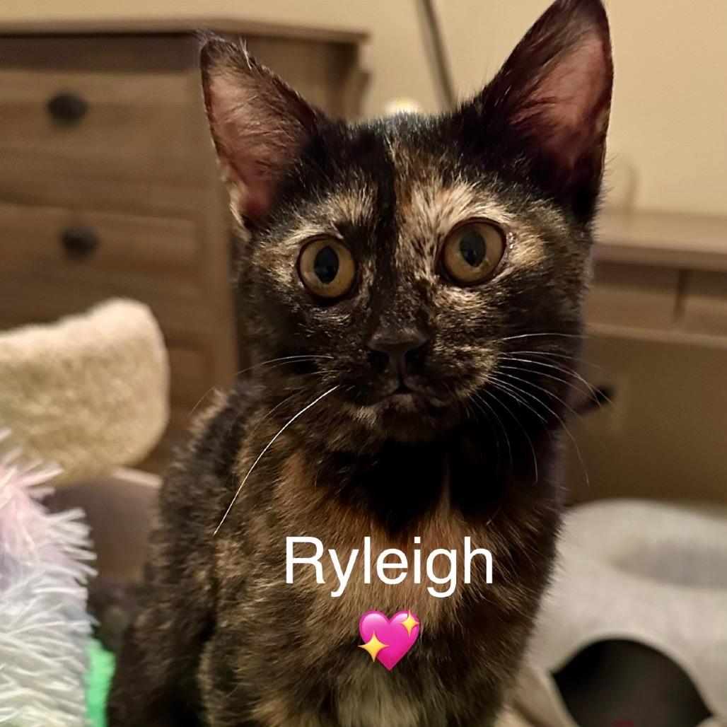 Ryleigh