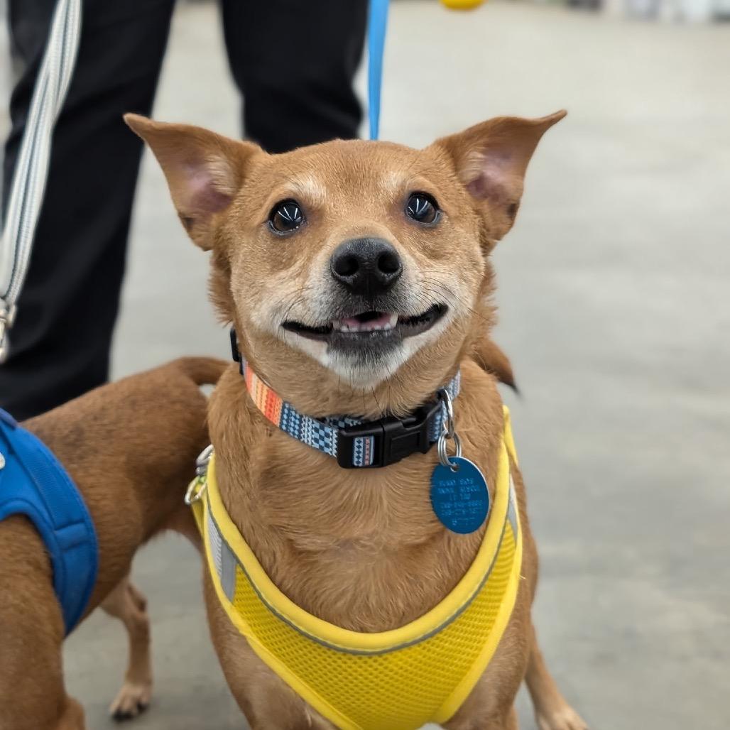 TY (bonded w/Pee Wee)