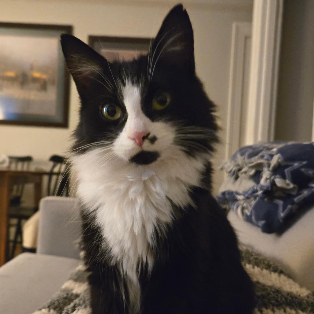 Model Sisters: Cindy (16823)