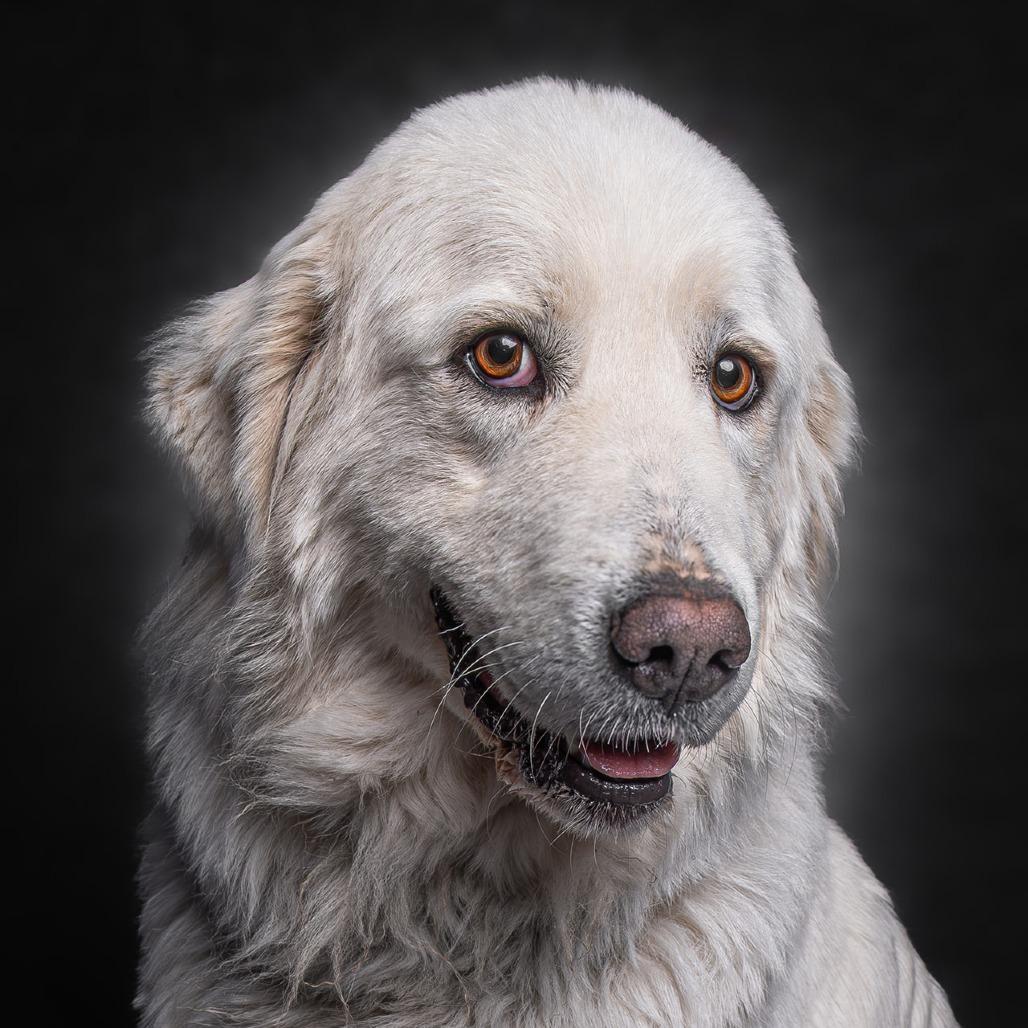 Mya