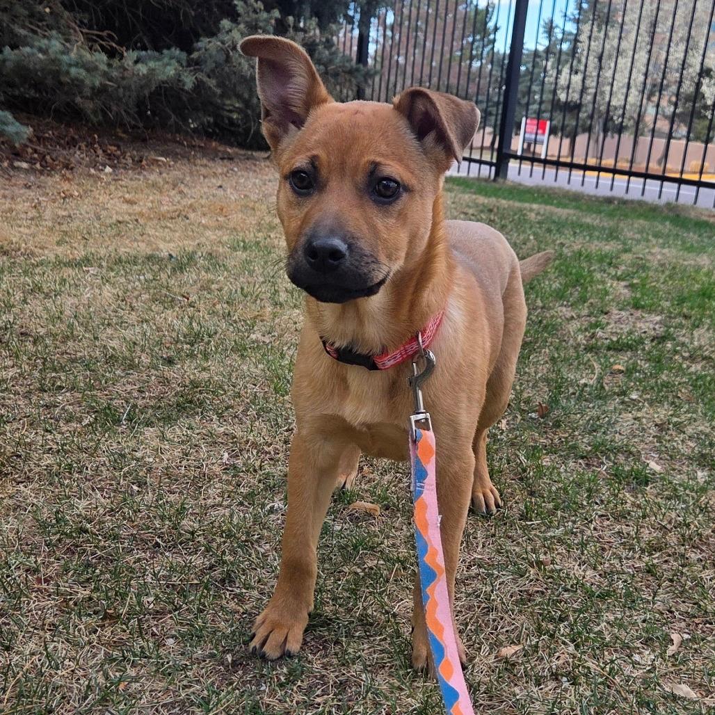 340 (2026) Hilary Knight