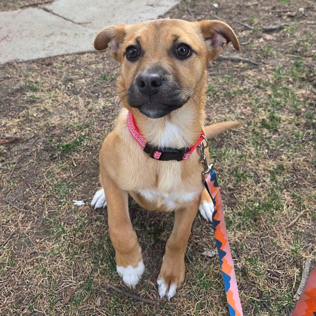 341 (2026) Hannah Bilka