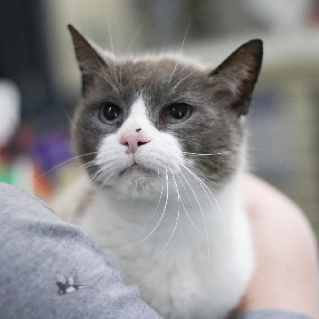 Appt Pending - Casper