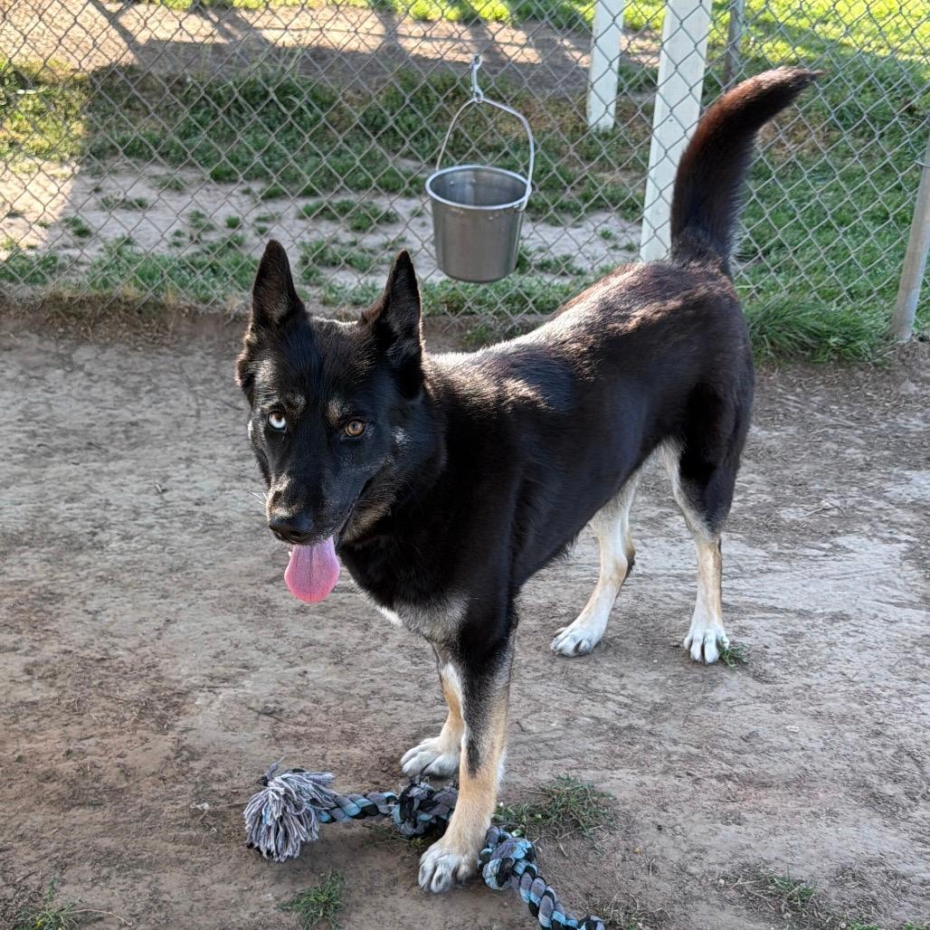 Aspen (PKA Lucy)