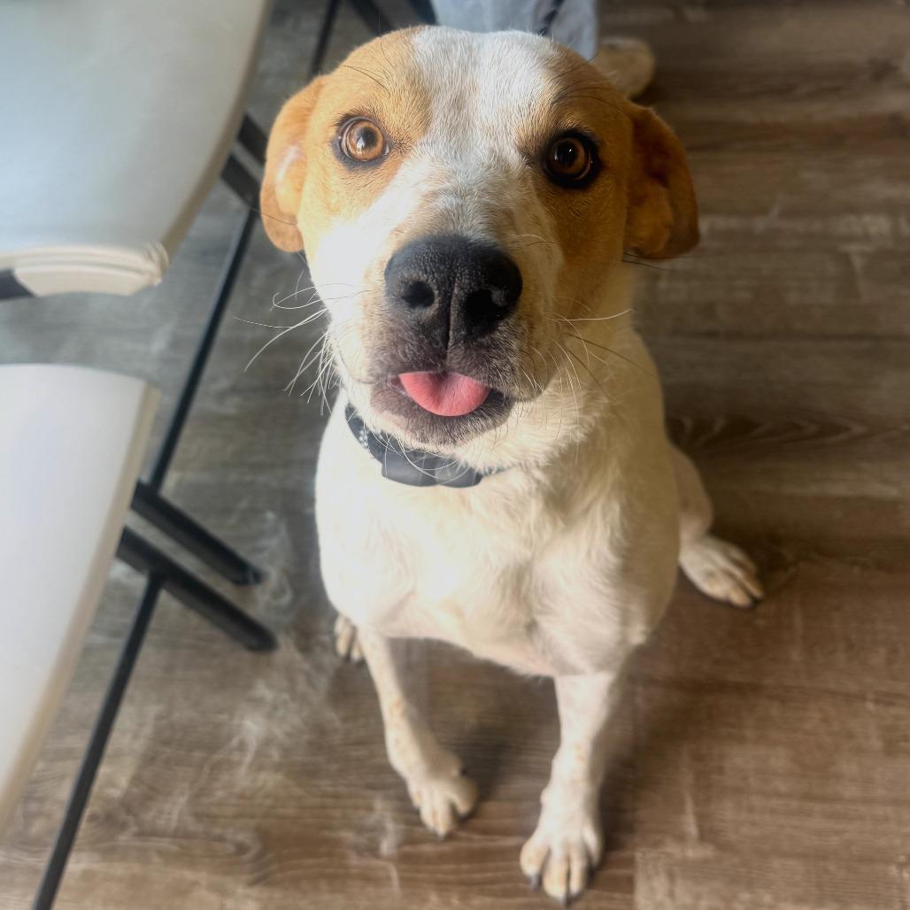 906 (2025) Mama Sugar