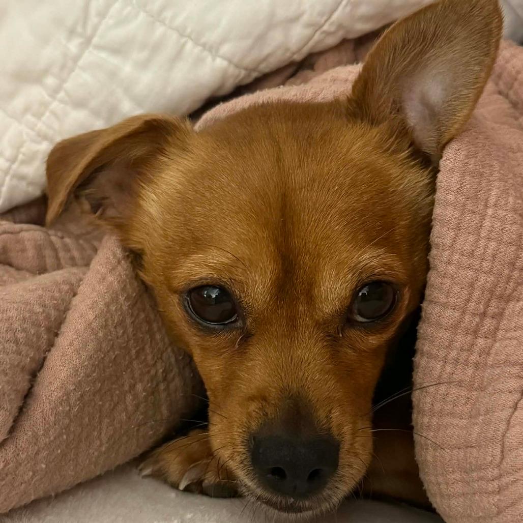 Skeeter D10811 *Arriving 4/11*