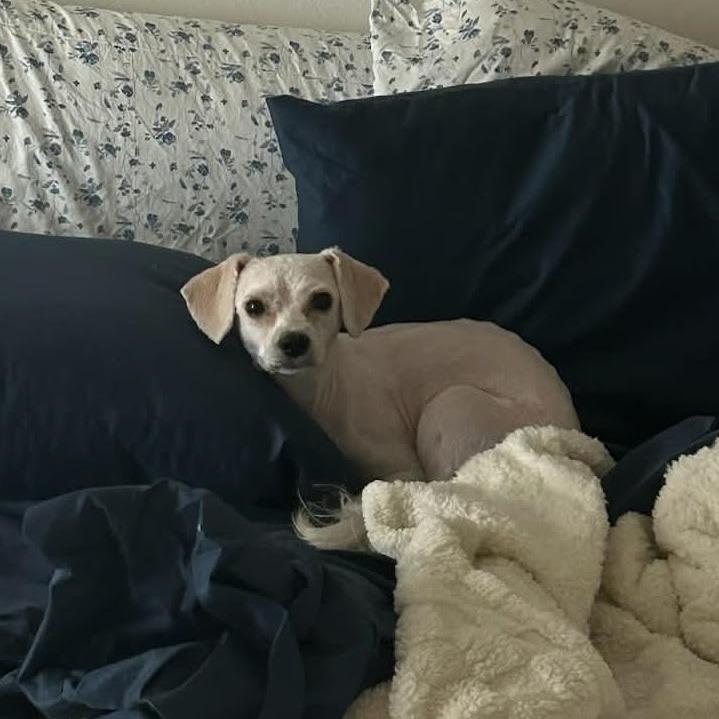 Flipp D10836 *Arriving 4/11