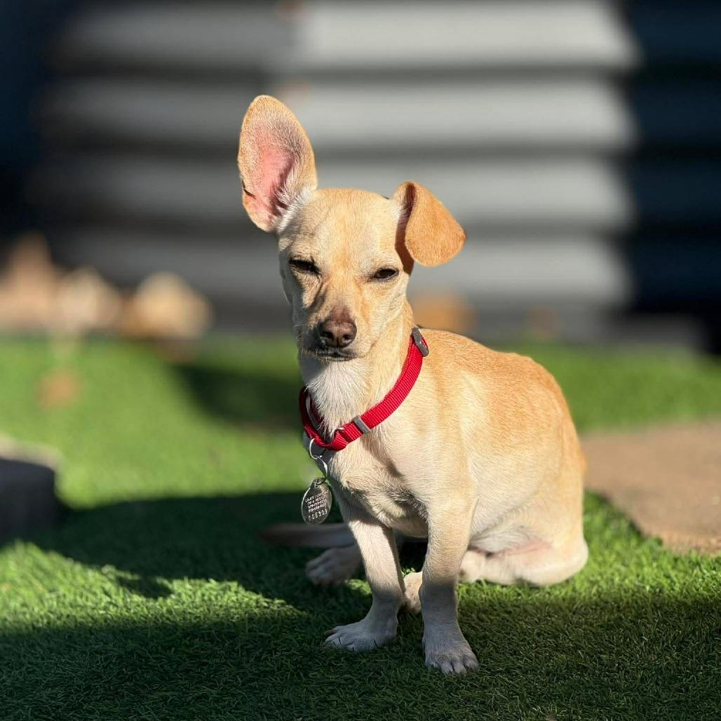 Wrangler D10782 *Arriving 4/11*