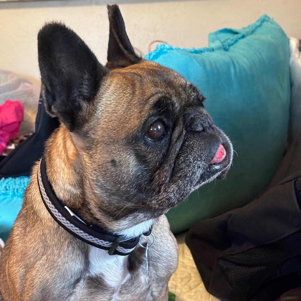 Ethel