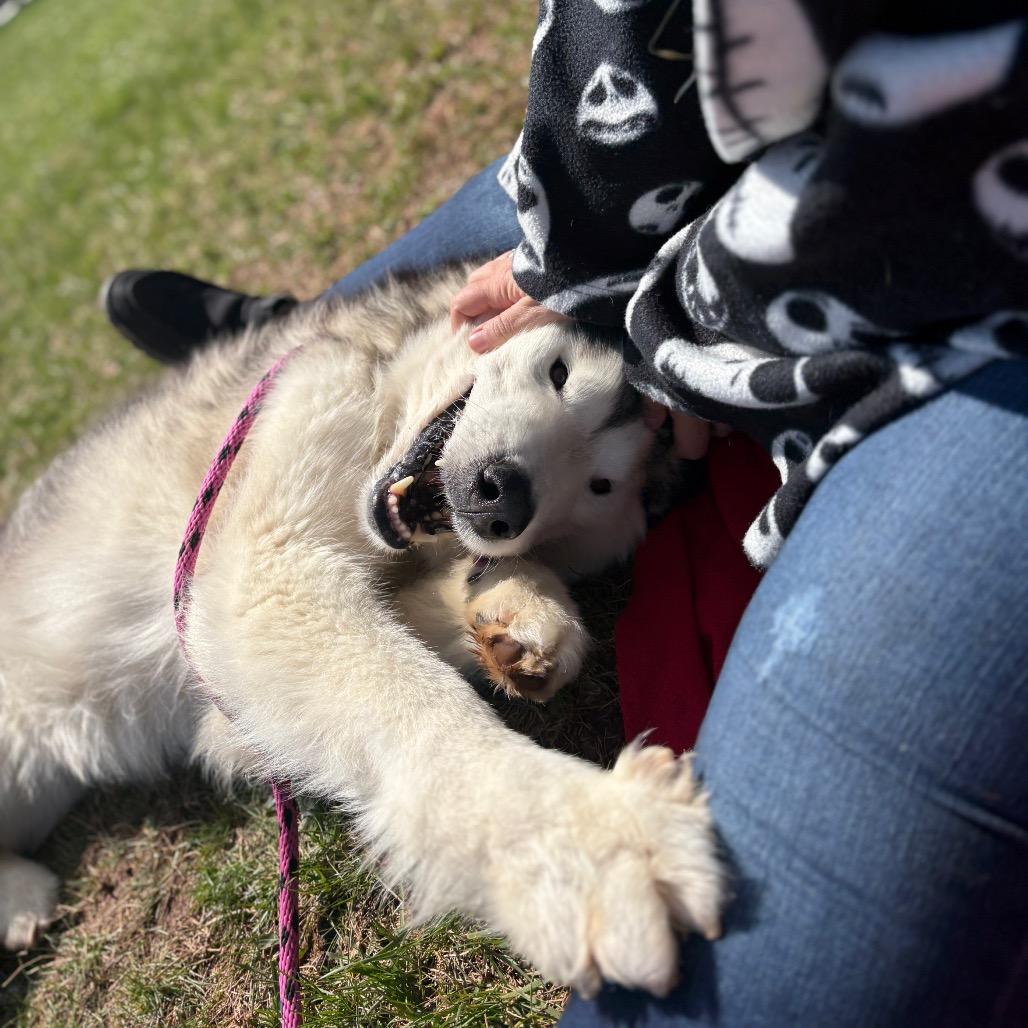 Balto