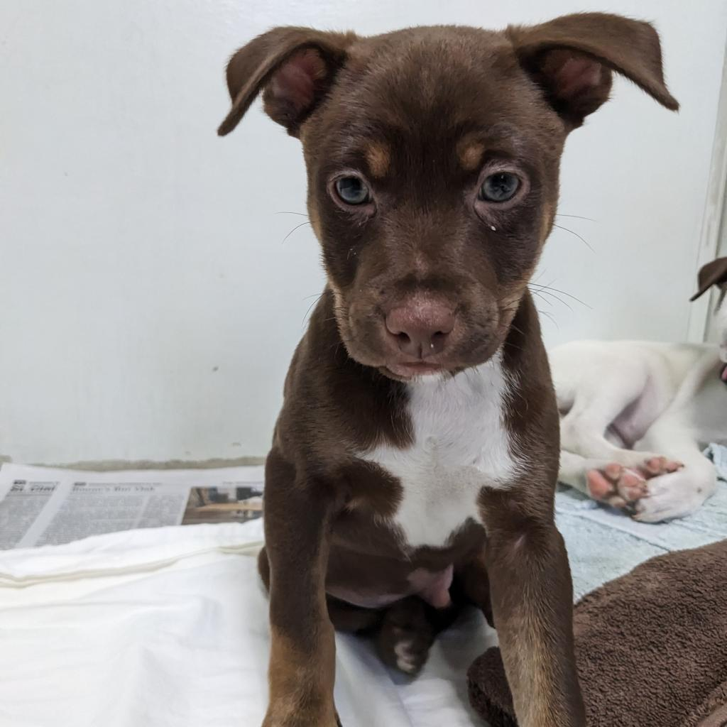 Lavon Hayes PR Floor crate