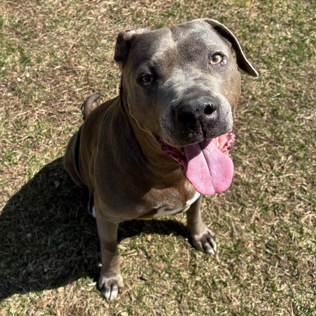 Xena 50% off - in Foster